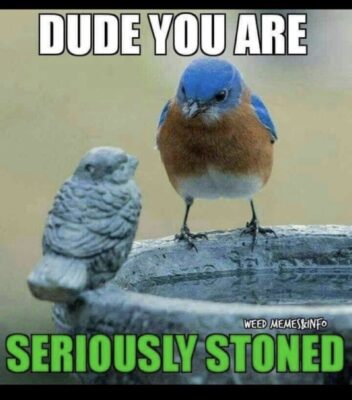 77dc9cbf-7dc3-4b42-a040-7961f067e06d