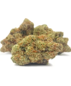 Alternative view of Zero Gravity