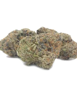 Alternative view of Blue Lobster