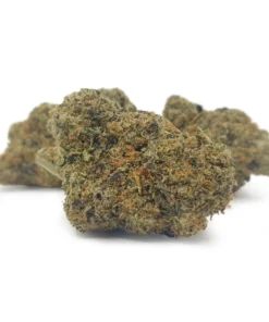 Alternative view of Candy Runtz