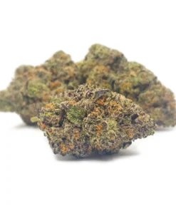 Alternative view of Purple Candy (seeds)