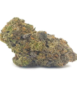 Purple Candy (seeds)