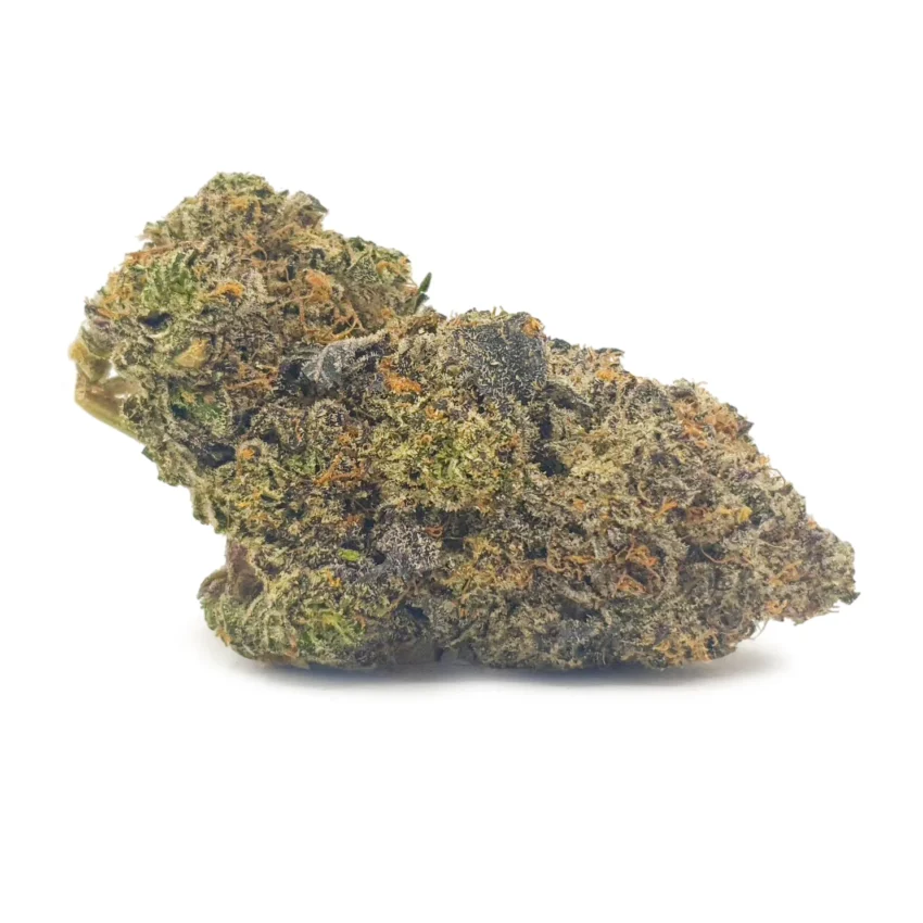 Purple Candy (seeds)