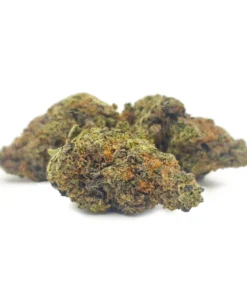 Alternative view of Sherbet (seeds)